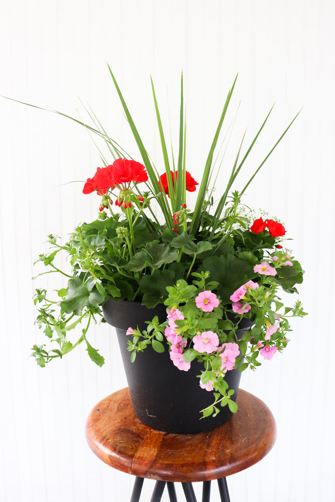 13” Round Geranium Patio Pot - Full Sun/Partial Shade (Multiple Colours)