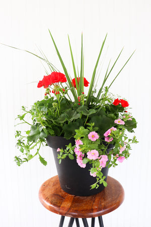 13” Round Geranium Patio Pot - Full Sun/Partial Shade (Multiple Colours)