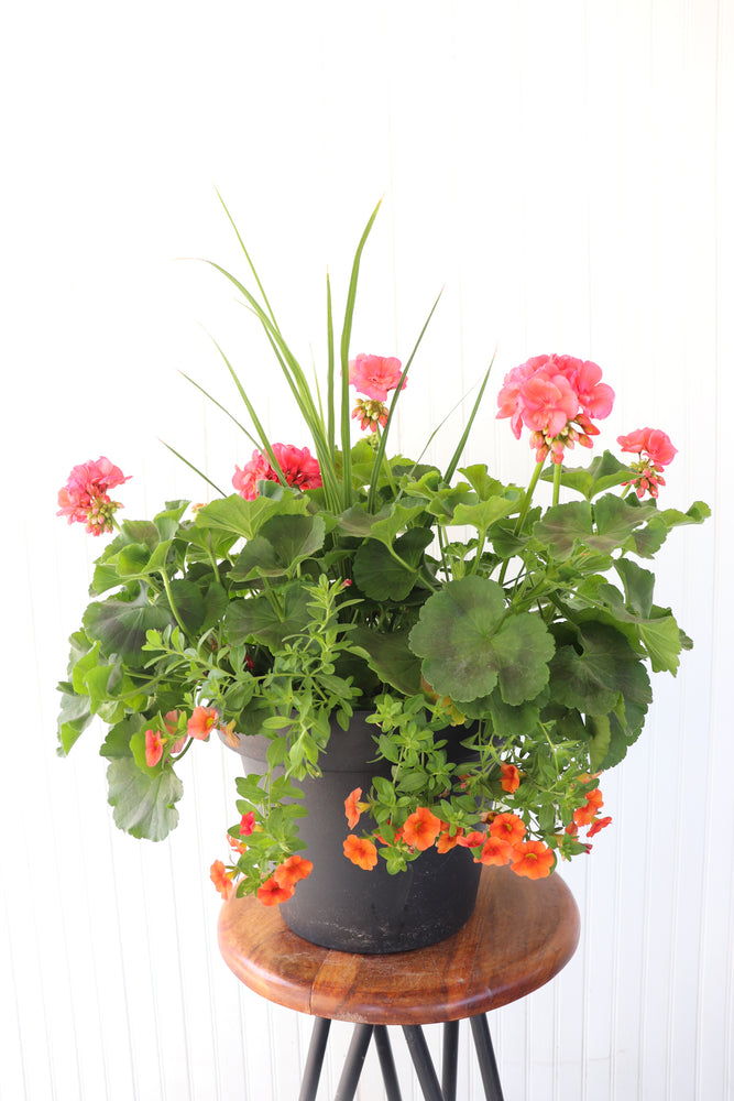 13” Round Geranium Patio Pot - Full Sun/Partial Shade (Multiple Colours)