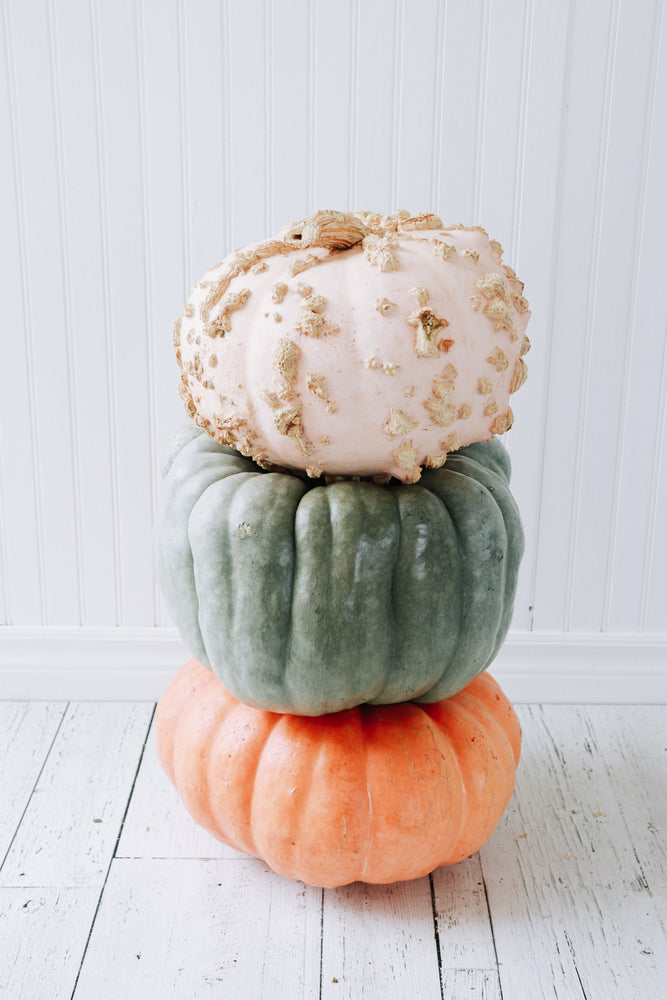 
            
                Load image into Gallery viewer, Specialty Pumpkin Stack
            
        