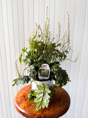 Cutting Edge Foam Flower "Tiarella"