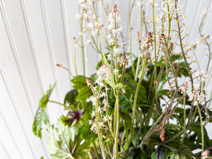 Cutting Edge Foam Flower "Tiarella"