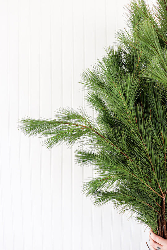 Bulk (50lb) Ontario Greens Bundle - Cedar, Fir or Pine