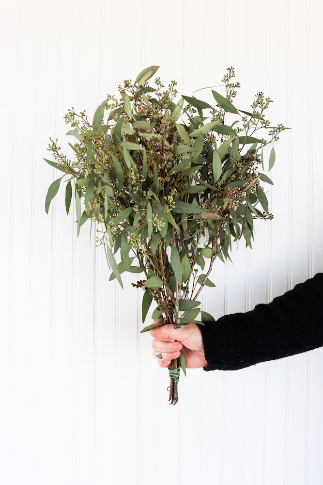Eucalyptus Bundle - Learning Disabilities Association of Windsor Essex