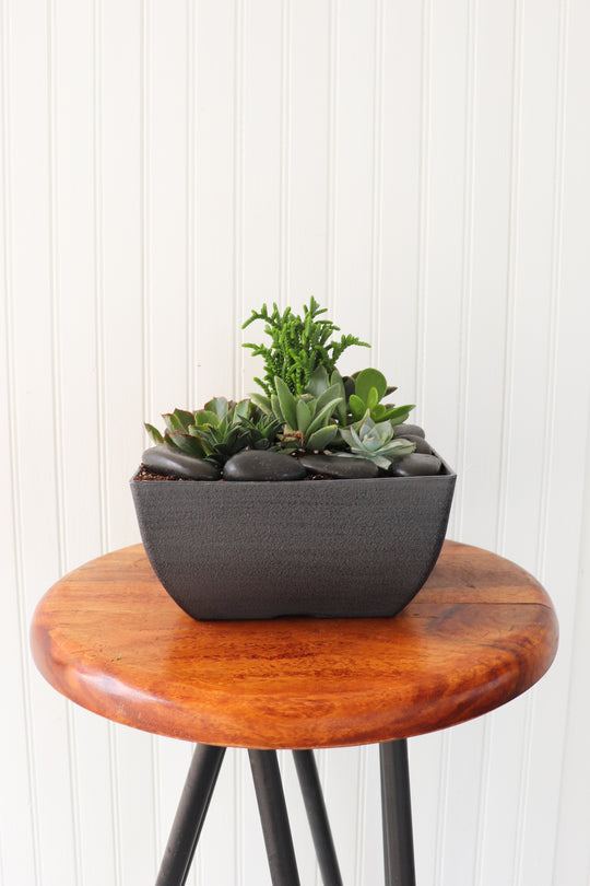 10" Succulent Bowl