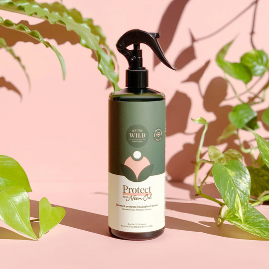 Protect Spray with Neem 17 oz.
