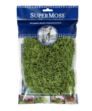 Spanish Moss Preserved