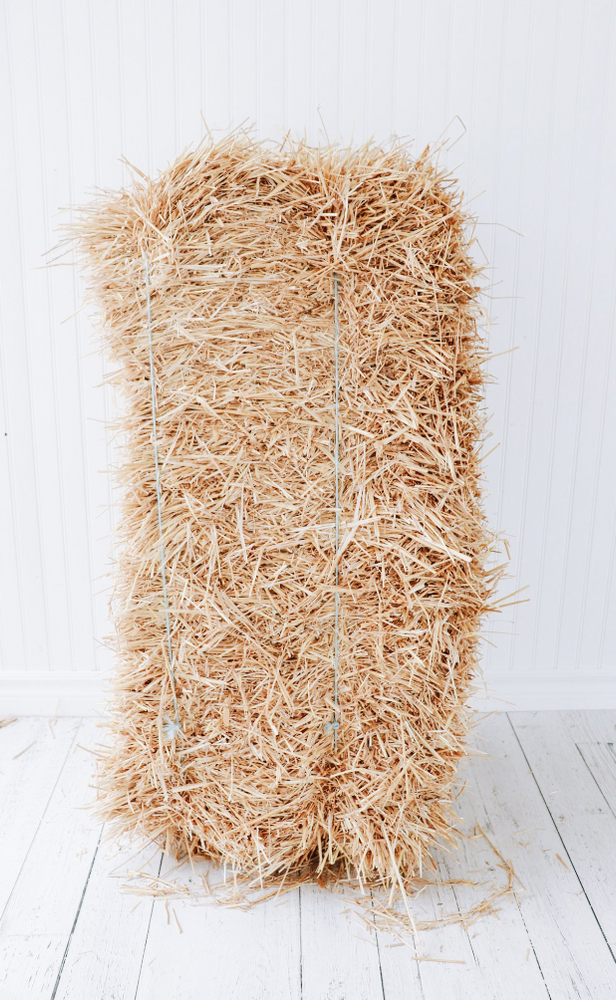 
            
                Load image into Gallery viewer, Straw - bale
            
        