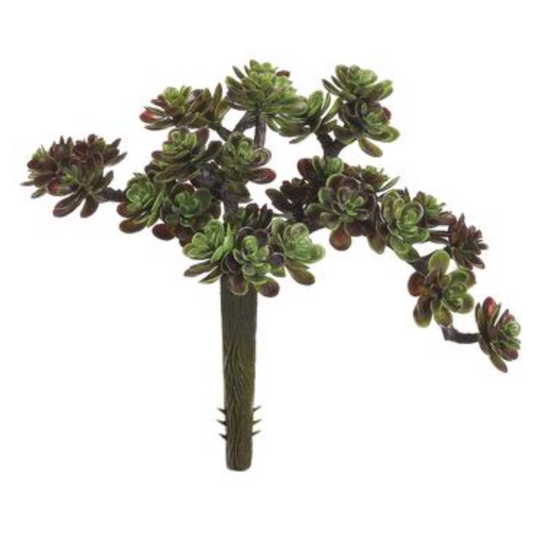 5"Sedum Pick 30L (Green Burgundy) - Florals and Foliage