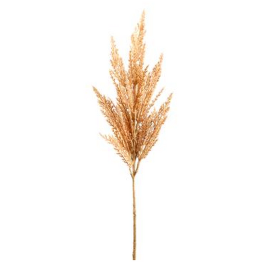33" Pampas Grass Spray (Blush) -Florals and Foliage