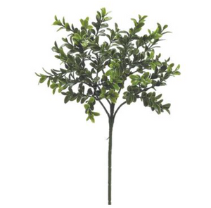 18.5" Boxwood Spray - Florals and Foliage