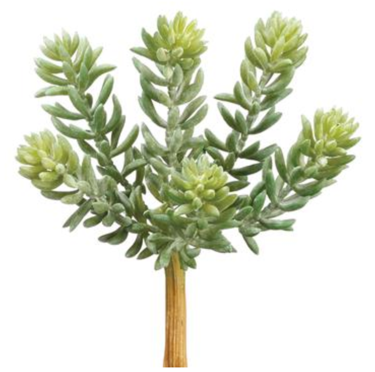 7"Soft Sedum Pick (Green Gray) - Florals and Foliage