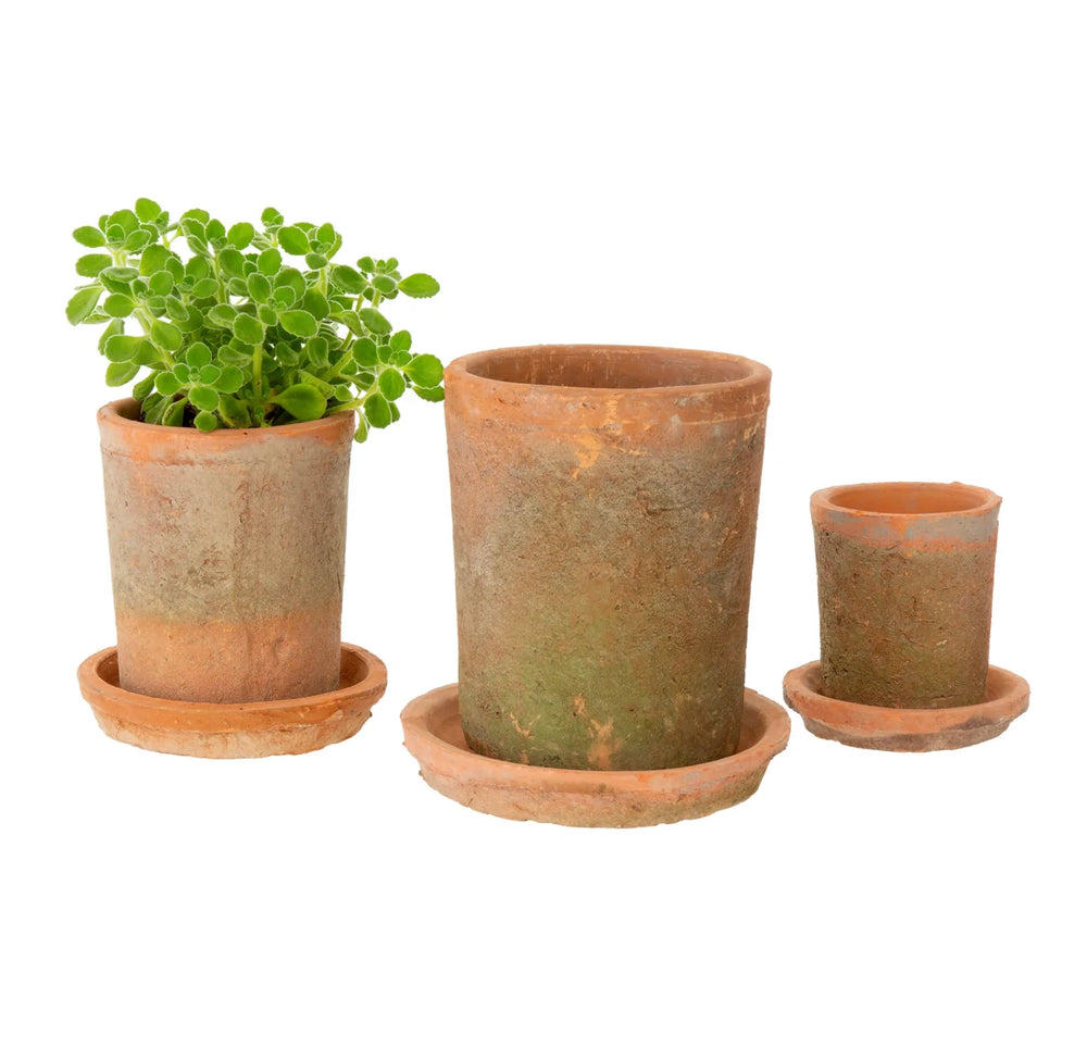 Aged Clay Pot + Saucer - Antique Redstone (Multiple Sizes)