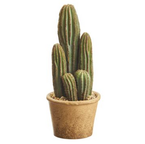 
            
                Load image into Gallery viewer, 9.5&amp;quot; Column Cactus In Pot GR - Florals And Foliage
            
        