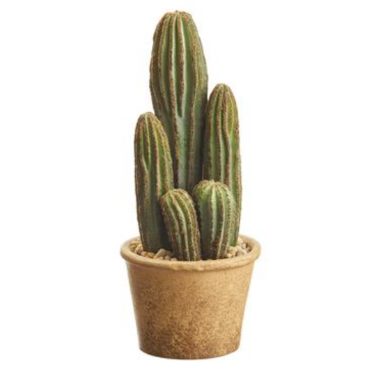 9.5" Column Cactus In Pot GR - Florals And Foliage