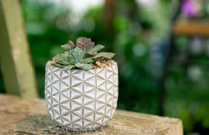
            
                Load image into Gallery viewer, 4&amp;quot; Skyway Egg Pot
            
        