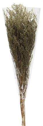 29.5" Dried Caspia Plant Bunch Natural