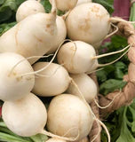 Hakurei Turnips F1 Seeds