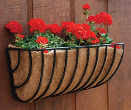 24" XL Waterbury Coconut Wall Trough