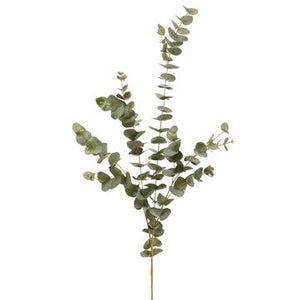 47" Eucalyptus Spray Grey / Green - Florals and Foliage