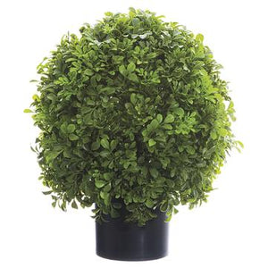 16"Boxwood Ball Topiary Green- Florals and Foliage