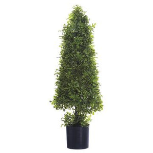 29" Boxwood Cone Topiary (P) - Florals and Foliage