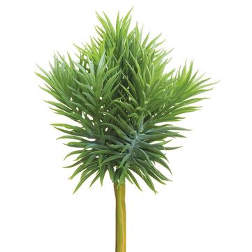 7" Soft PE Senecio Pick Green/Gray