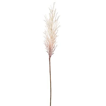 32.5"Pampas Grass Spray Beige - Florals and Foliage