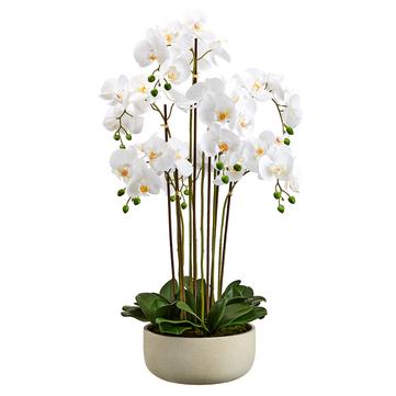 39" Phalaenopsis Plant x7 - Florals and Foliage