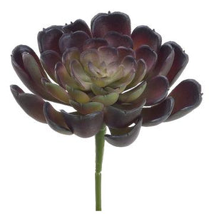 
            
                Load image into Gallery viewer, 4&amp;quot;Echeveria Pick Bu/Gr - Florals and Foliage
            
        