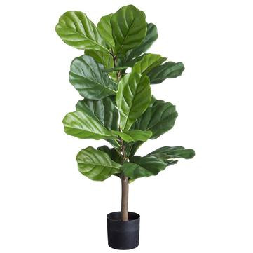 29.5" Fiddle Leaf Plant in pot - Florals and Foliage