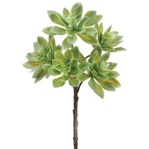 12" Soft Touch Echeveria Spray- Florals and Foliage
