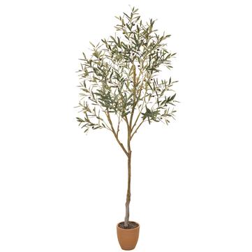 84" Olive tree In Cement Pot - Florals and Foliage