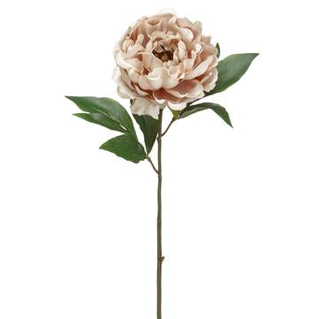 18.5" Decor Peony Spray - Florals and Foliage