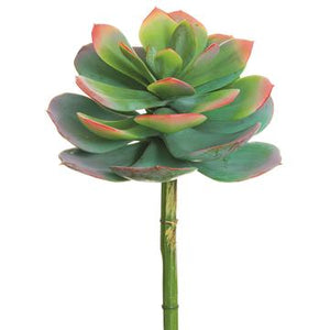 
            
                Load image into Gallery viewer, 8&amp;quot; DX10&amp;quot;L Echeveria Spray- Florals and Foliage
            
        