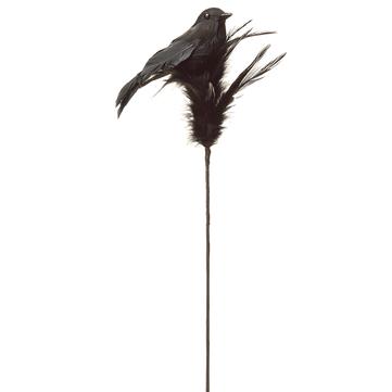 15" Black Crow Feather Spray
