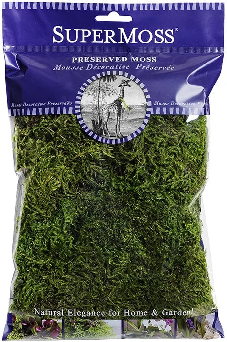 Preserved Forest Moss - Fresh Green - 120 cu.in.