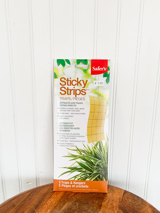Safers Sticky Strips: Pack of 5