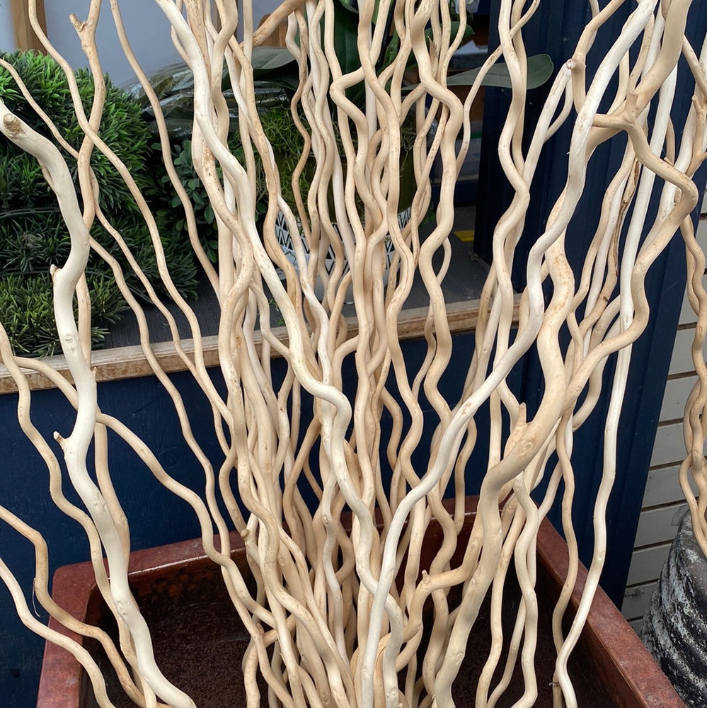 Kuwa Branch Bleach - Florals And Foliage