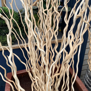 Kuwa Branch Bleach - Florals And Foliage