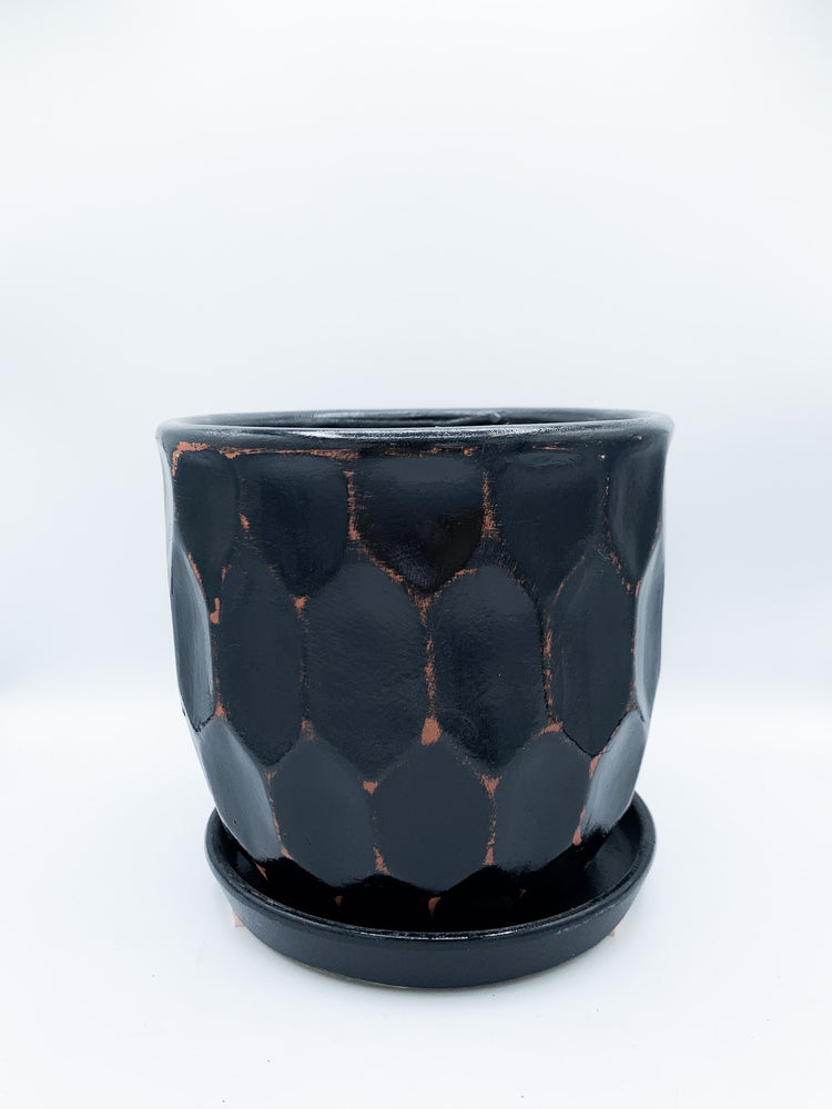 
            
                Load image into Gallery viewer, 5.5&amp;quot;x5.5&amp;quot; Black Distressed Honeycomb Pot w/ Saucer
            
        